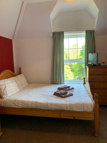 The Park Inn Hotel