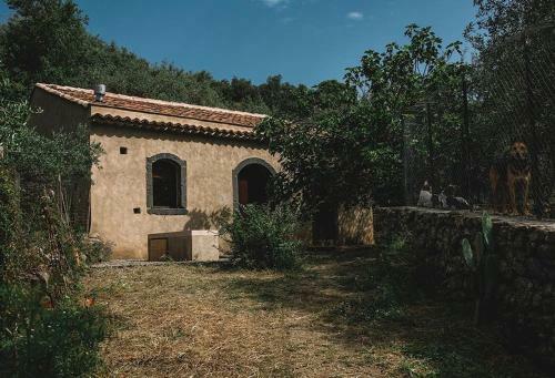 Apartamento Weincottage Unterm Feigenbaum