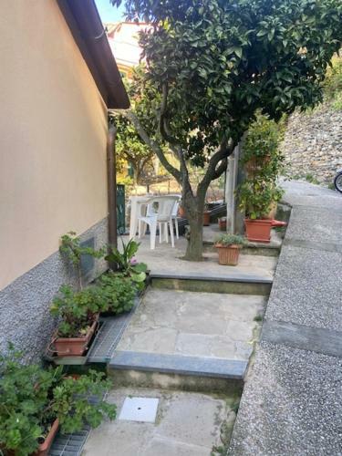 Apartamento Casa Canzio