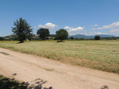 Capitello Camping