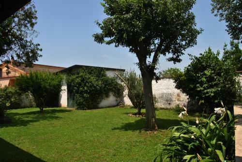 Bed & Breakfast La Masseria
