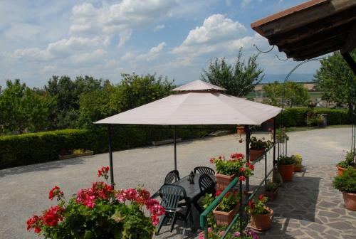 Agroturismo La Piaggiola Degli Olivi