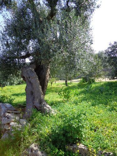 B&B Alla Panoramica