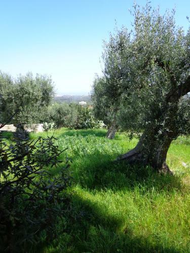 B&B Alla Panoramica