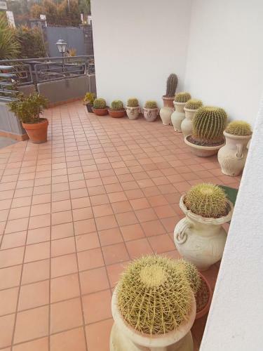 Apartamento Fiori Dell Etna