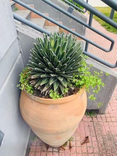 Apartamento Fiori Dell Etna