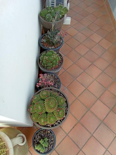 Apartamento Fiori Dell Etna