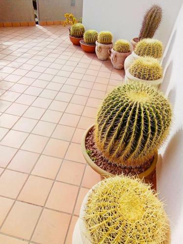Apartamento Fiori Dell Etna
