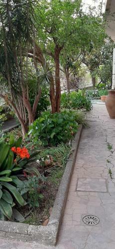 Apartamento Colazione In Giardino Con Vista Mare