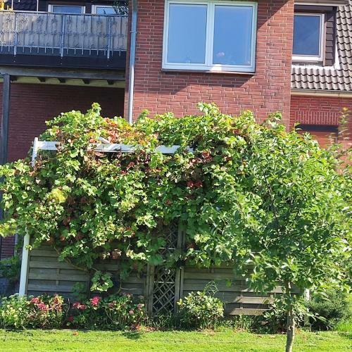 Apartamento G�stewohnung Von J&o