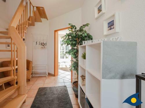 Haus Anima