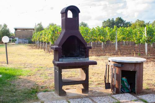 Agriturismo L'istrice Di Gi�