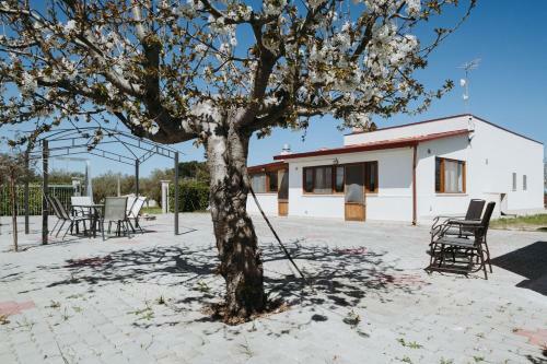 Apartamento Essenza Country House