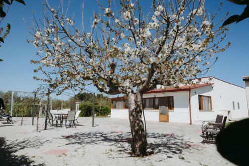 Apartamento Essenza Country House
