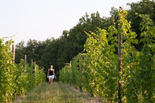 Agroturismo Quercia Belvedere Relais