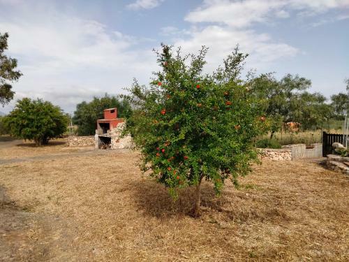 Olmedo Casa Vacanze Piano Terra