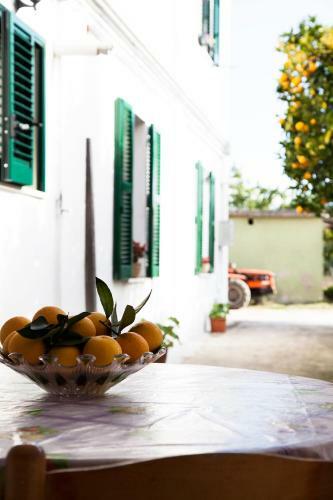 Apartamento Ortona Holidays