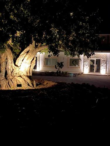 Hotel Carrua