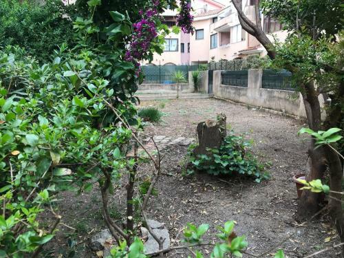 Apartamento Gli Oleandri