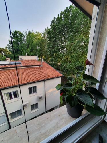 Apartamento Suite Citt� Giardino Loft