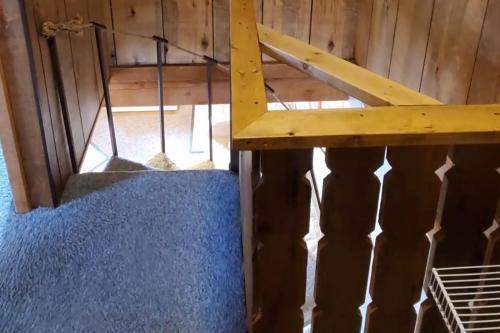 Apartamento Wedelhaus