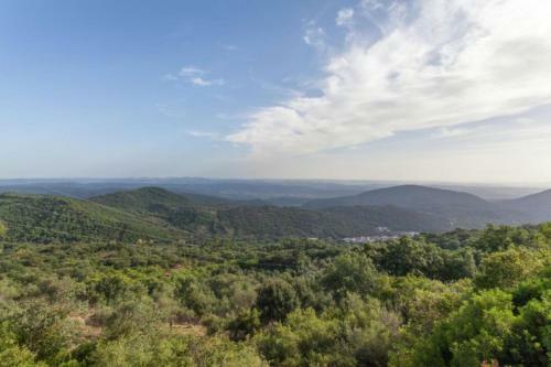 Finca Montemateo