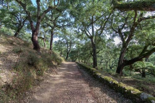 Finca Montemateo
