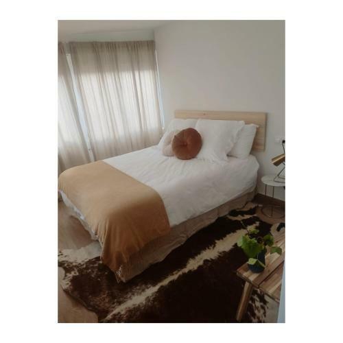 Apartamento Cosmevixia