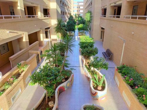Apartamento Acv - Neptuno-2� Linea Planta 5 Sur