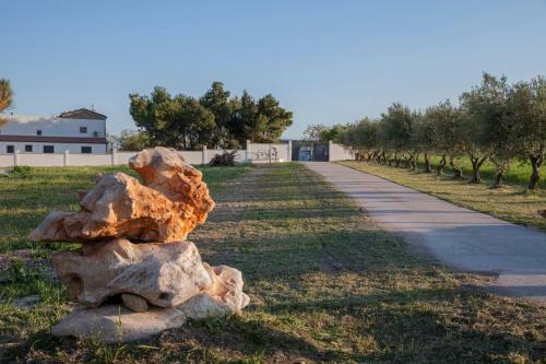 Bed & Breakfast Masseria Piana Cimino