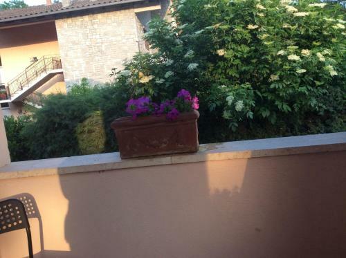 B&B Il Frassino