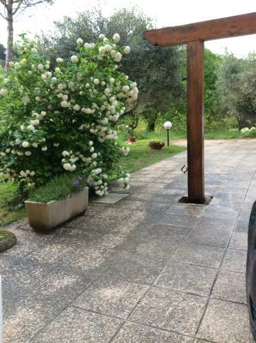 B&B Il Frassino