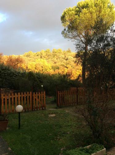 B&B Il Frassino