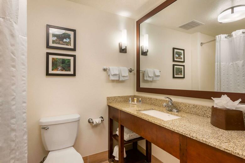 Hotel Comfort Suites Downtown Orlando