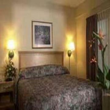 Hotel Comfort Suites Downtown Orlando
