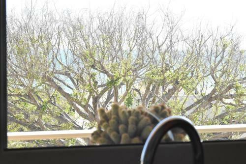 Apartamento Montalbano's Sea