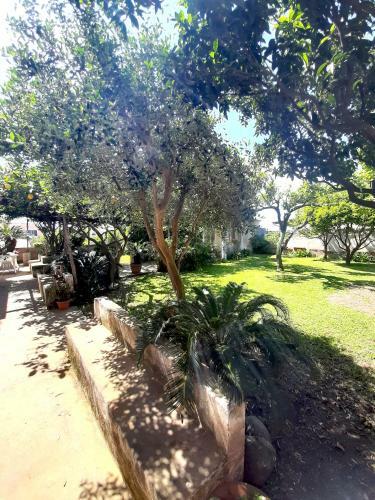 Apartamento O' Suppigno - Historic House