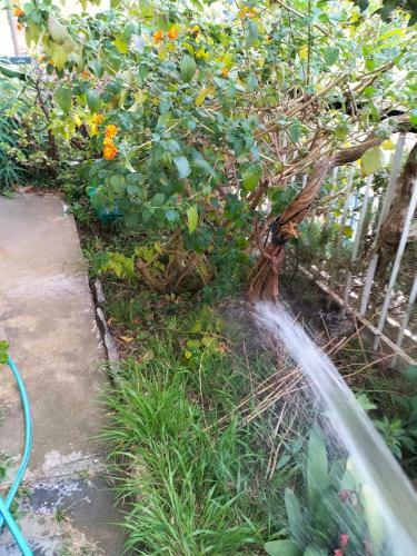 Apartamento Hybiscus142