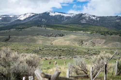 Yellowstone Park Riverfront Chalet