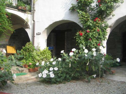 B&B La Rampichina