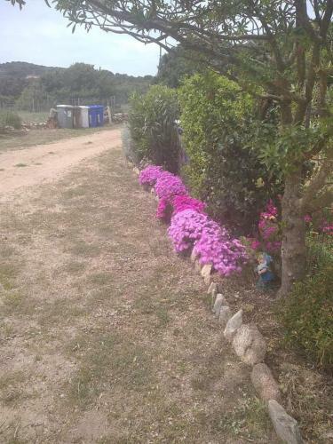 Apartamento B&B Li Salcuneddi