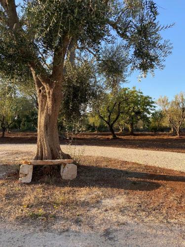 Trullo Fiorone With Private Pool