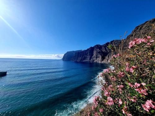 Pleasant Apartment In Santiago Del Teide With Shared Pool
