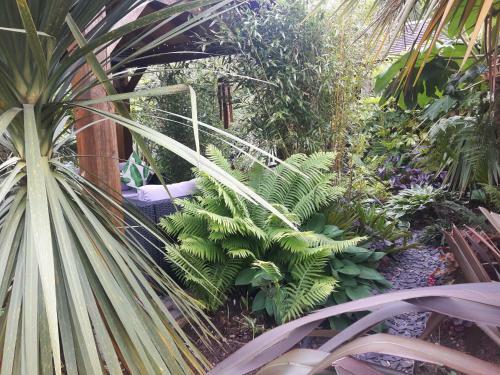 Jungle Cabin In Sutton Coldfield
