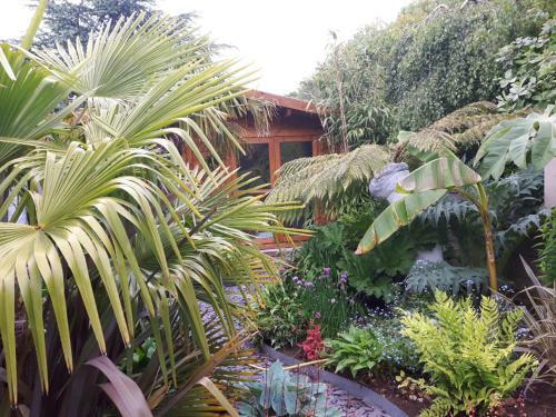 Jungle Cabin In Sutton Coldfield