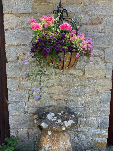 Agroturismo The Manor House, Curry Mallet