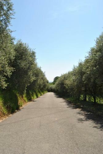 Apartamento Da Ida Alla Vigna Del Greppo