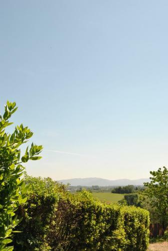 Apartamento Da Ida Alla Vigna Del Greppo