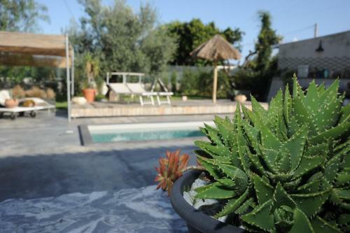 Hostal Stonehome
