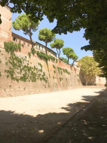 Apartamento Monolocale In Villa, A 300 Metri Dal Centro
